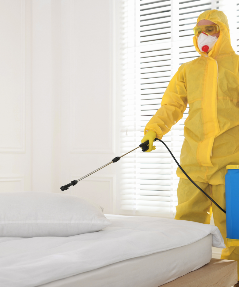 Professional Pest Control Team in Morphett Vale